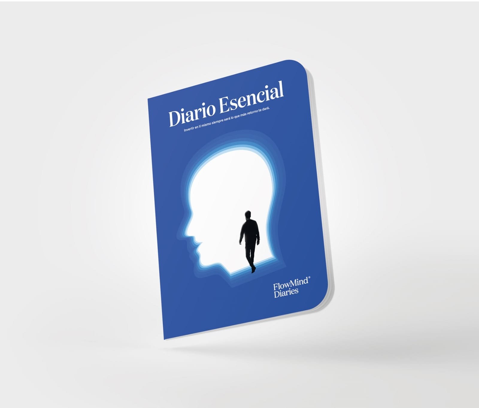 PHOTO-2025-06-06-13-25-52(2)