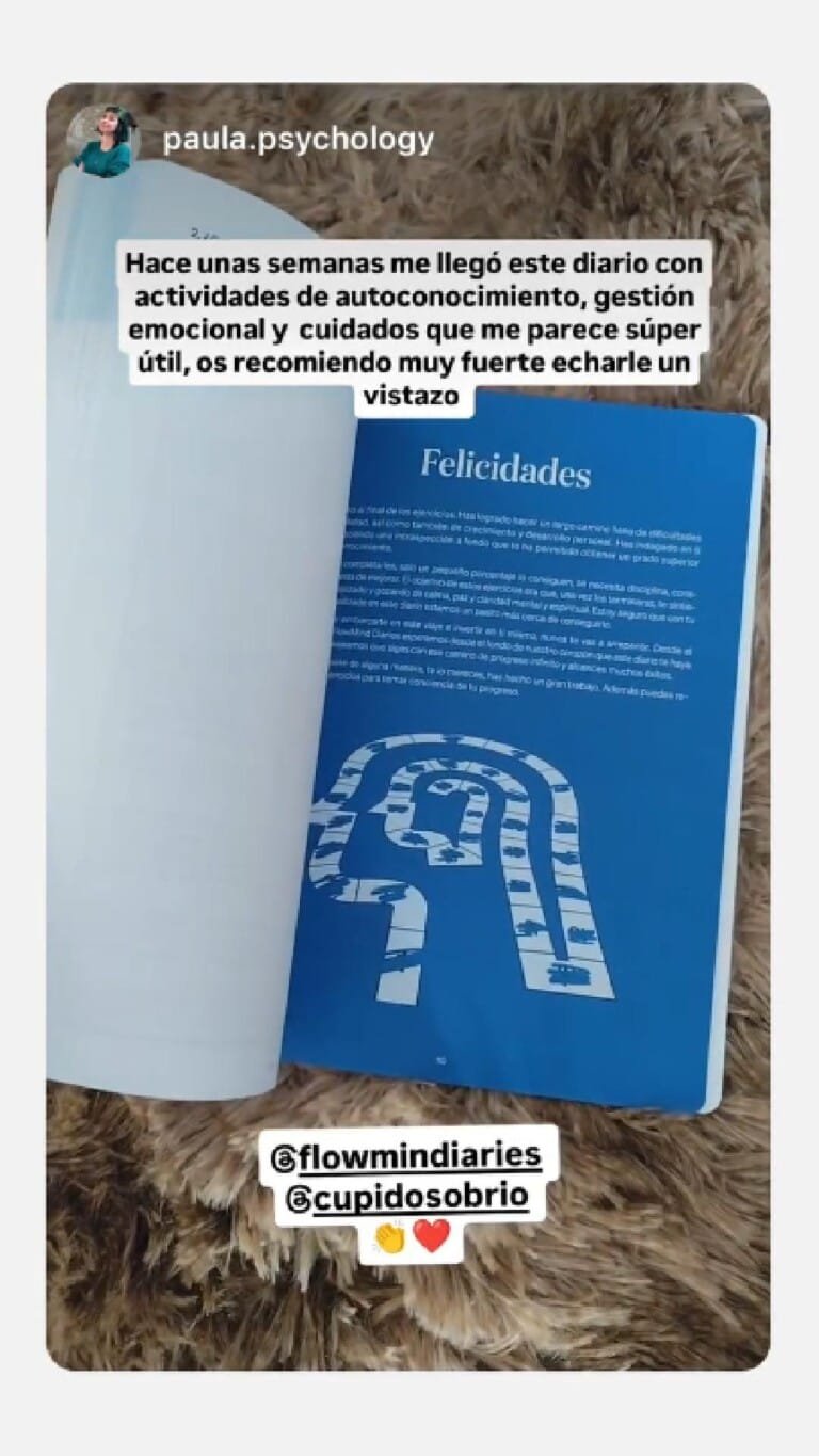 Opinion FlowMind paula