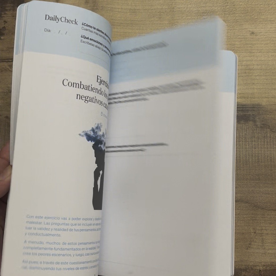 Diario esencial páginas